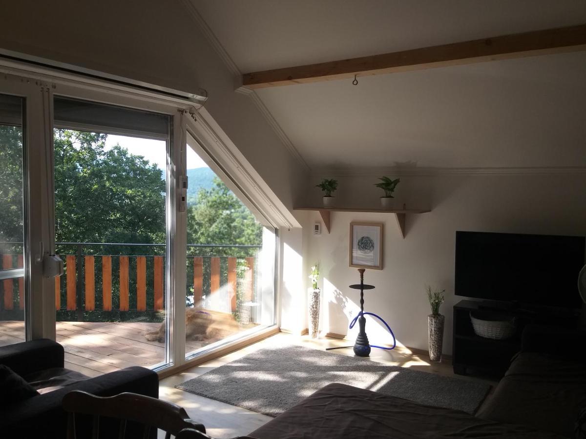 Toelgyerdo Apartman Kismaros Exterior foto